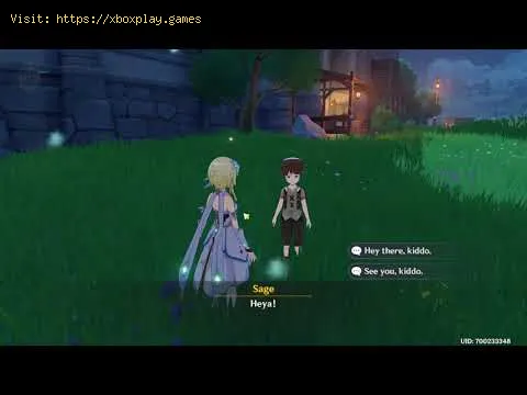 Video preview