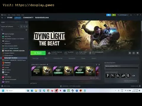 Video preview