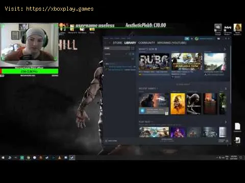 Video preview