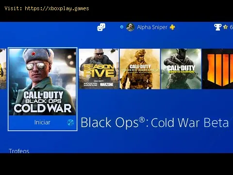 Video preview