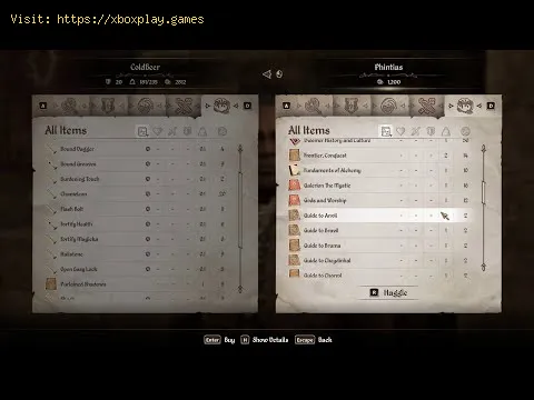 Video preview