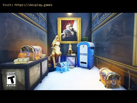 Video preview