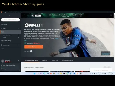 Video preview