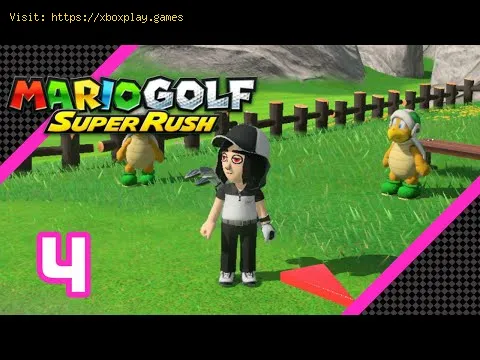 Video preview
