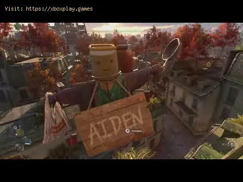 Video preview