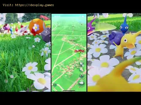 Video preview