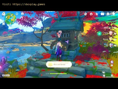 Video preview