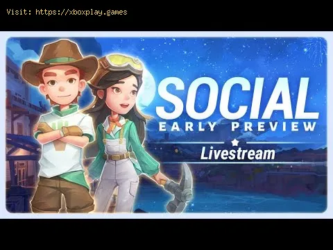 Video preview