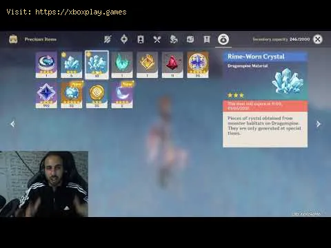 Video preview
