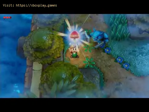 Video preview