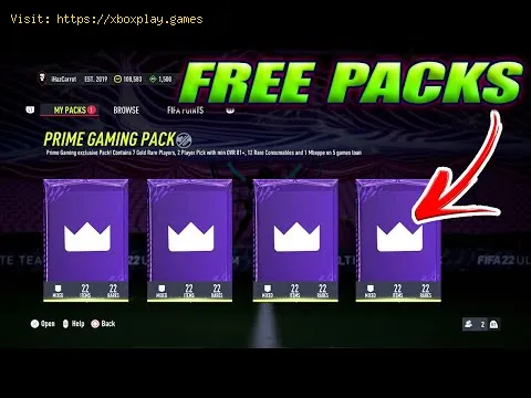 Video preview