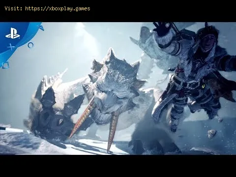 Video preview
