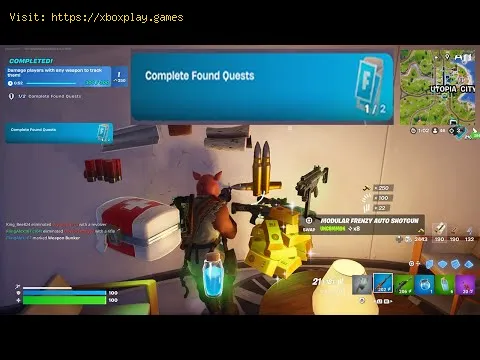 Video preview
