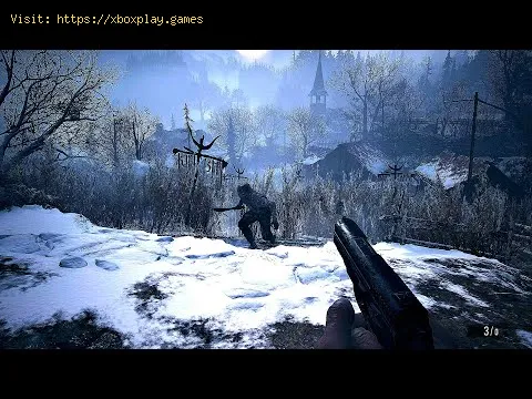 Video preview