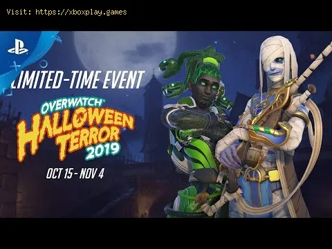 Video preview