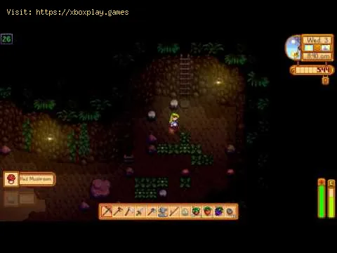 Video preview