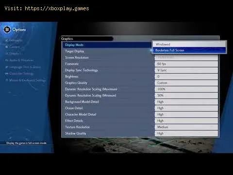 Video preview