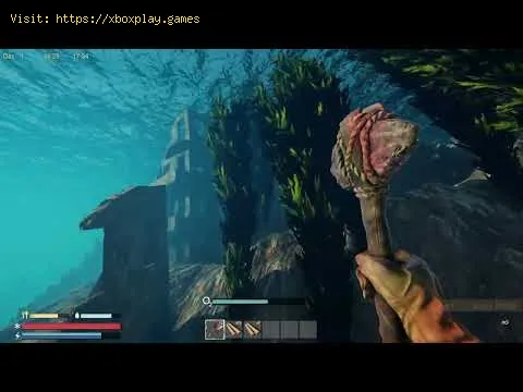 Video preview