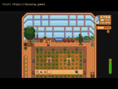 Video preview