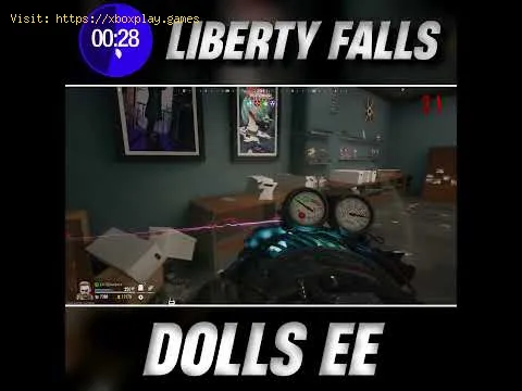Video preview