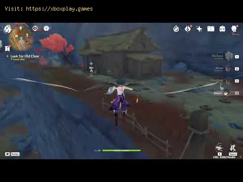 Video preview