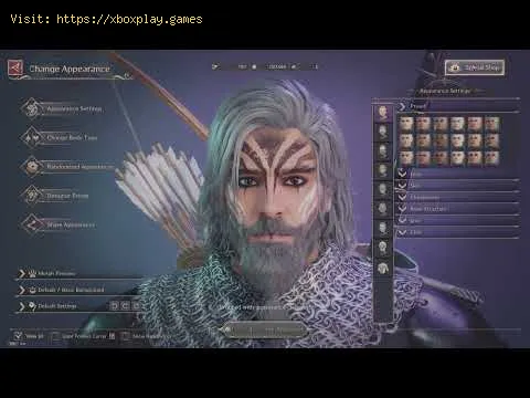 Video preview