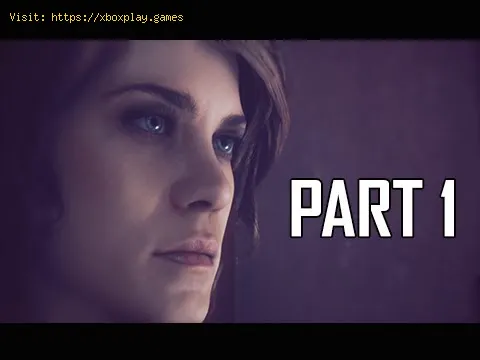 Video preview