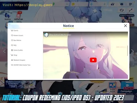 Video preview