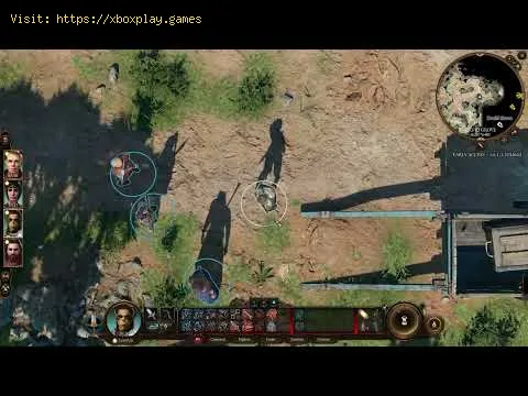Video preview