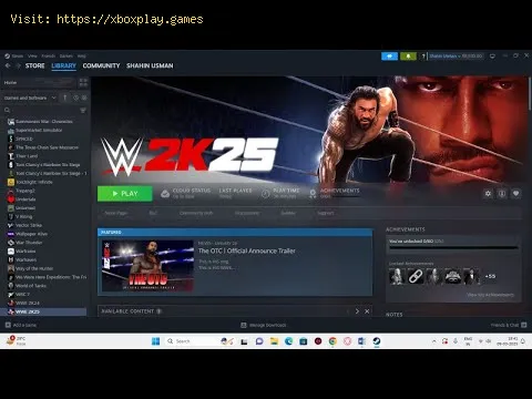Video preview