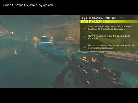 Video preview