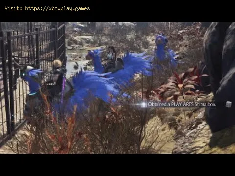Video preview