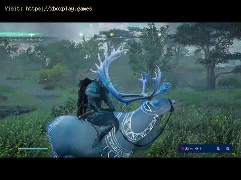 Video preview
