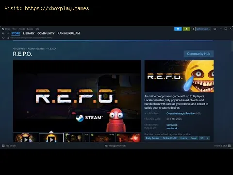 Video preview