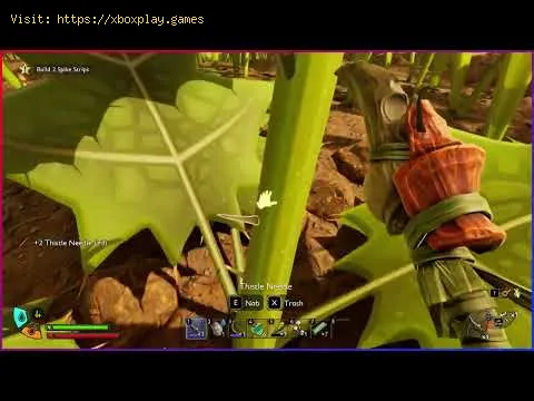Video preview