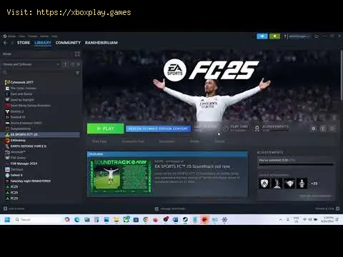 Video preview