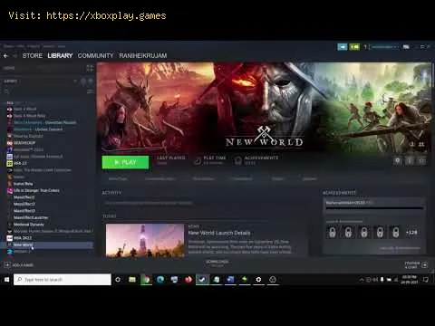 Video preview