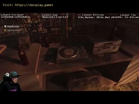 Video preview