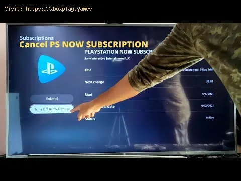 Video preview