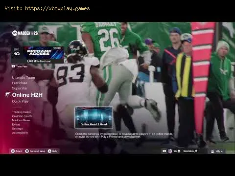 Video preview
