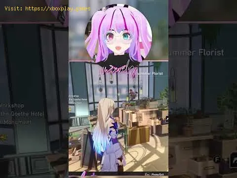 Video preview