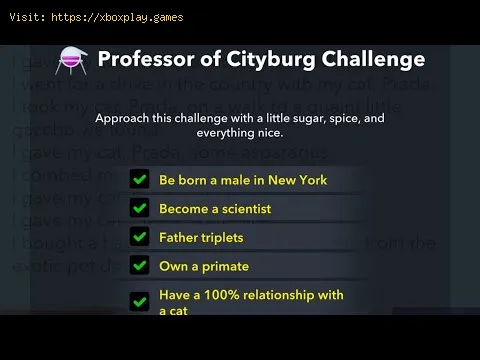 Video preview