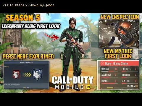 Video preview