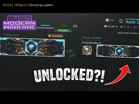 Video preview