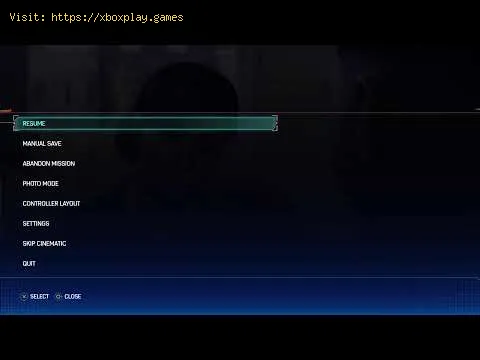 Video preview
