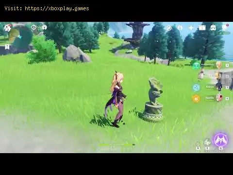 Video preview