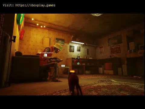 Video preview
