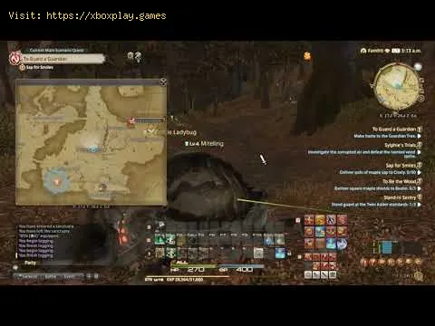 Video preview