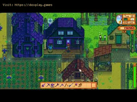 Video preview