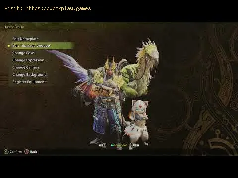 Video preview